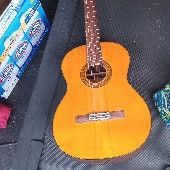 Nice Accoustic Guitar 