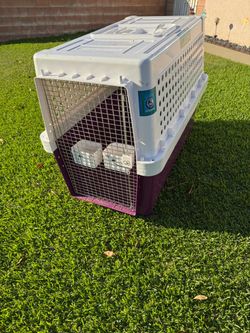 XXL Pet Kennel