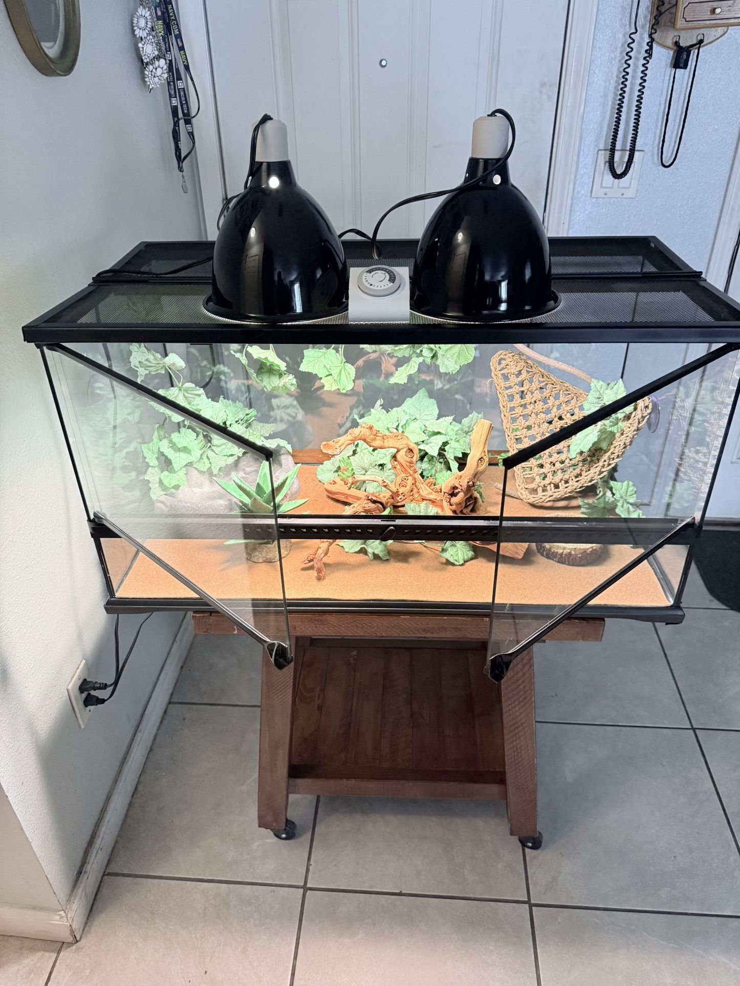 Reptile/Terrarium/Aquarium  50 Gallon From Opening Tank With Set Up ( Have More Tanks Available) ( No Animals Included ) *** Like New ***