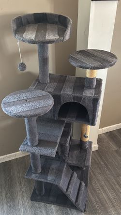 Kitty Climb Condo