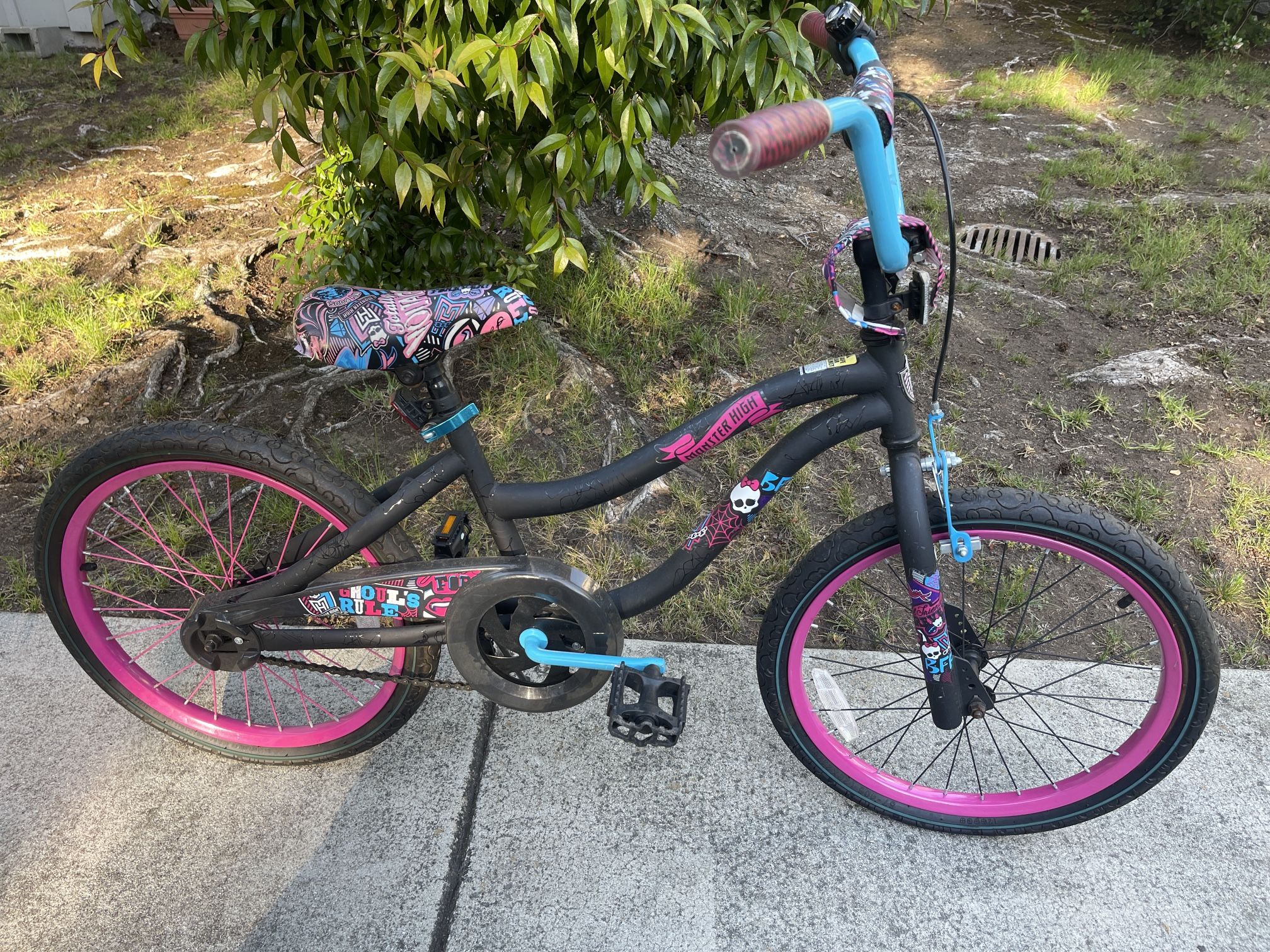Monster High Girls BMX Bike 20” Was $140 new Needs nothing.