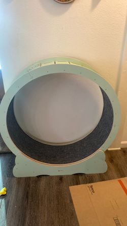 Cat wheel