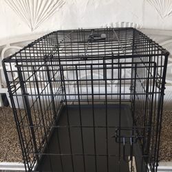 Kennel.   Dog