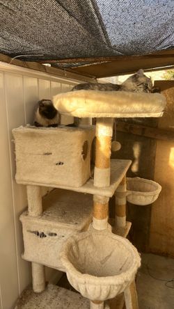 Free cat tree