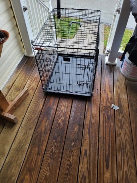 Dog Cage 