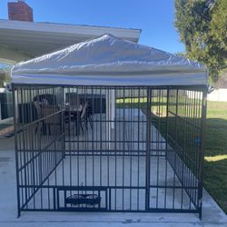 Dog Kennel 