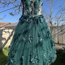 Quinceañera Dark green Dress
