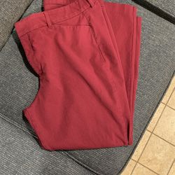 Womens Pixie Pants