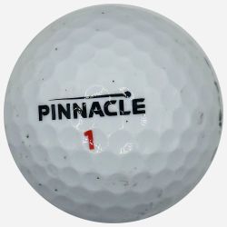 Pinnacle – 45 Used Golf Balls – Great for Practice or Play!