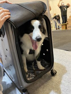 Pet Carrier