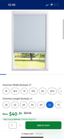 Window Blinds 29x64 Inches