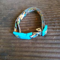 A Used Collar In Good Condition