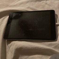 Apple iPad