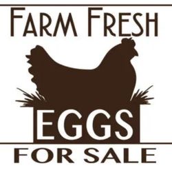 Farm Eggs