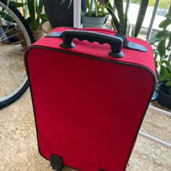 Luggage 13x21