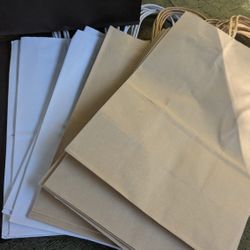 25 Kraft Paper Gift Bags with Handles – 8" X 10"X 5" different colors