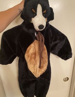 Dog Halloween Costume Size 2-3 Years
