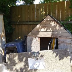 Large dog house and crate/carrier