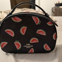 Coach Mini Purse 