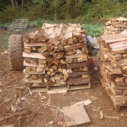 Seasoned Firewood