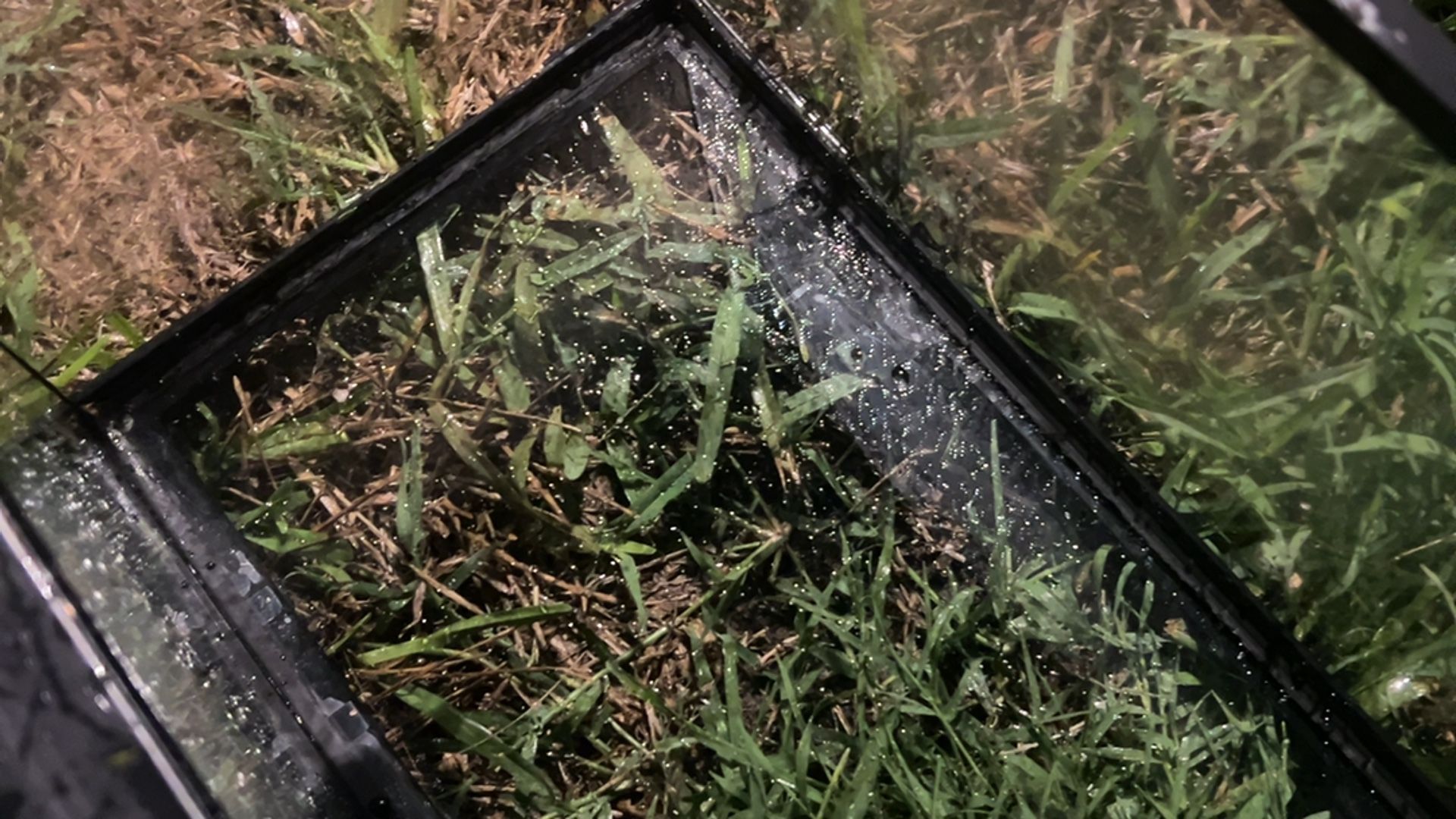 Tank For Reptile/ Fish