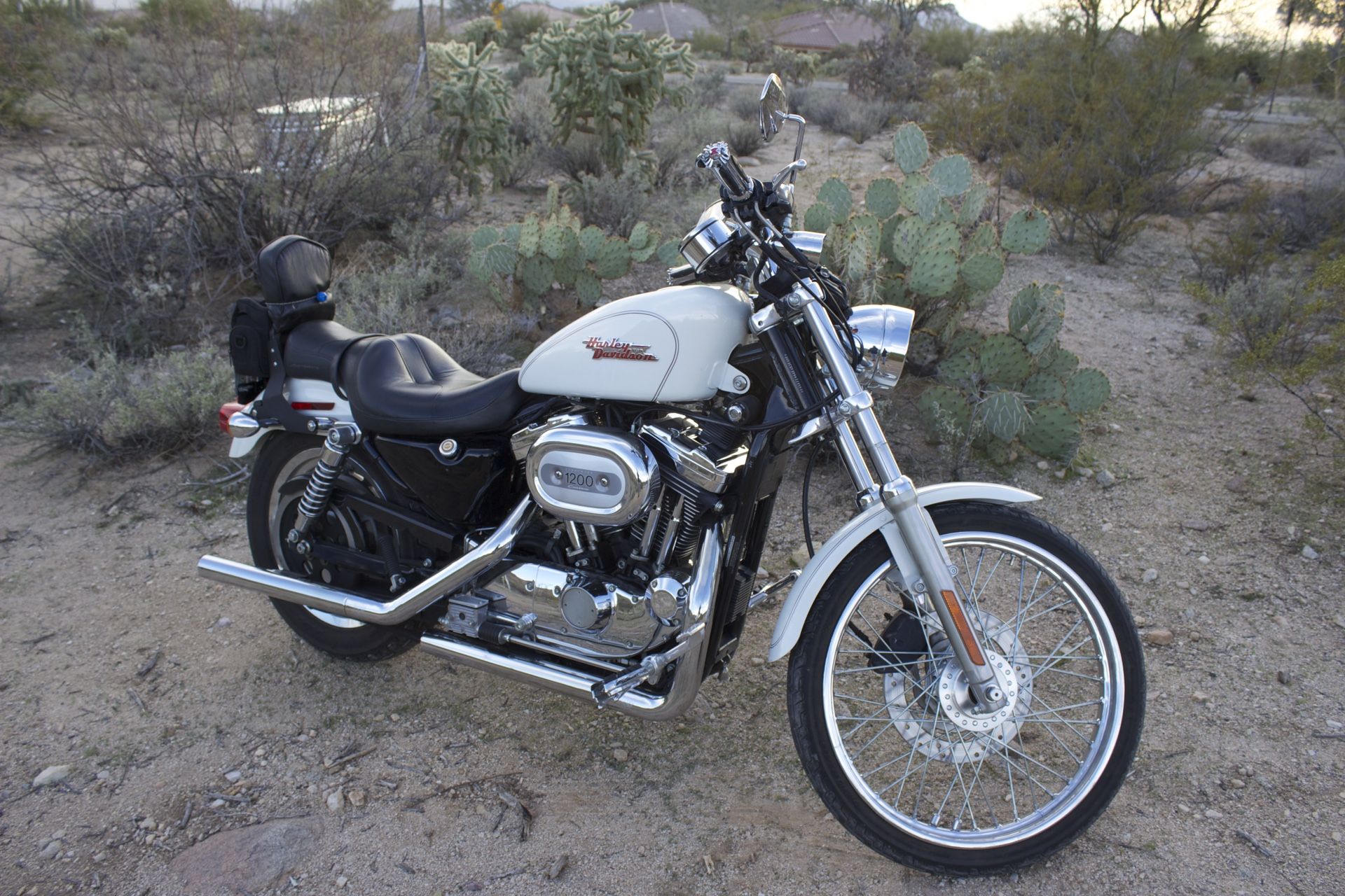 2002 HARLEY DAVIDSON XL1200C