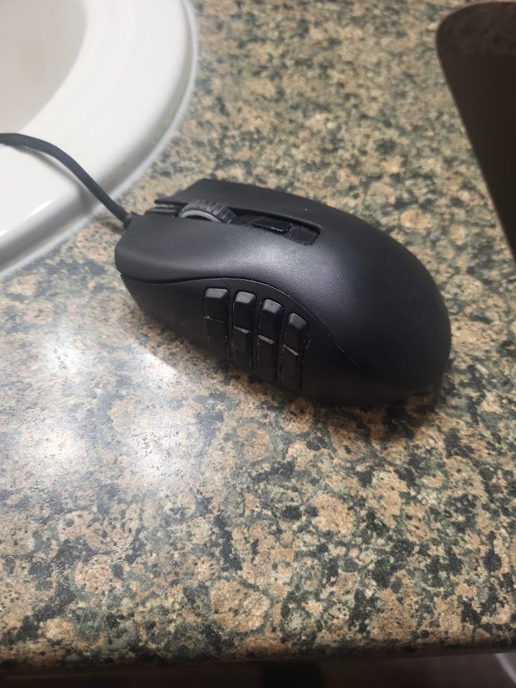Razr Naga