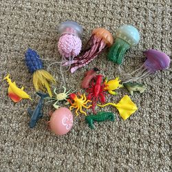 Jelly fish & misc sea creatures