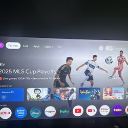 85 Inch TV