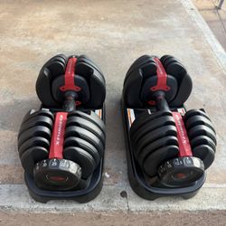 Bowflex Adjustable Dumbbell Weights 