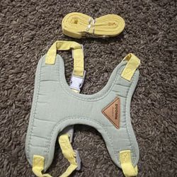 Medium Dog Harness And Leash