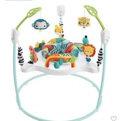 Fisher-Price Baby Bouncer