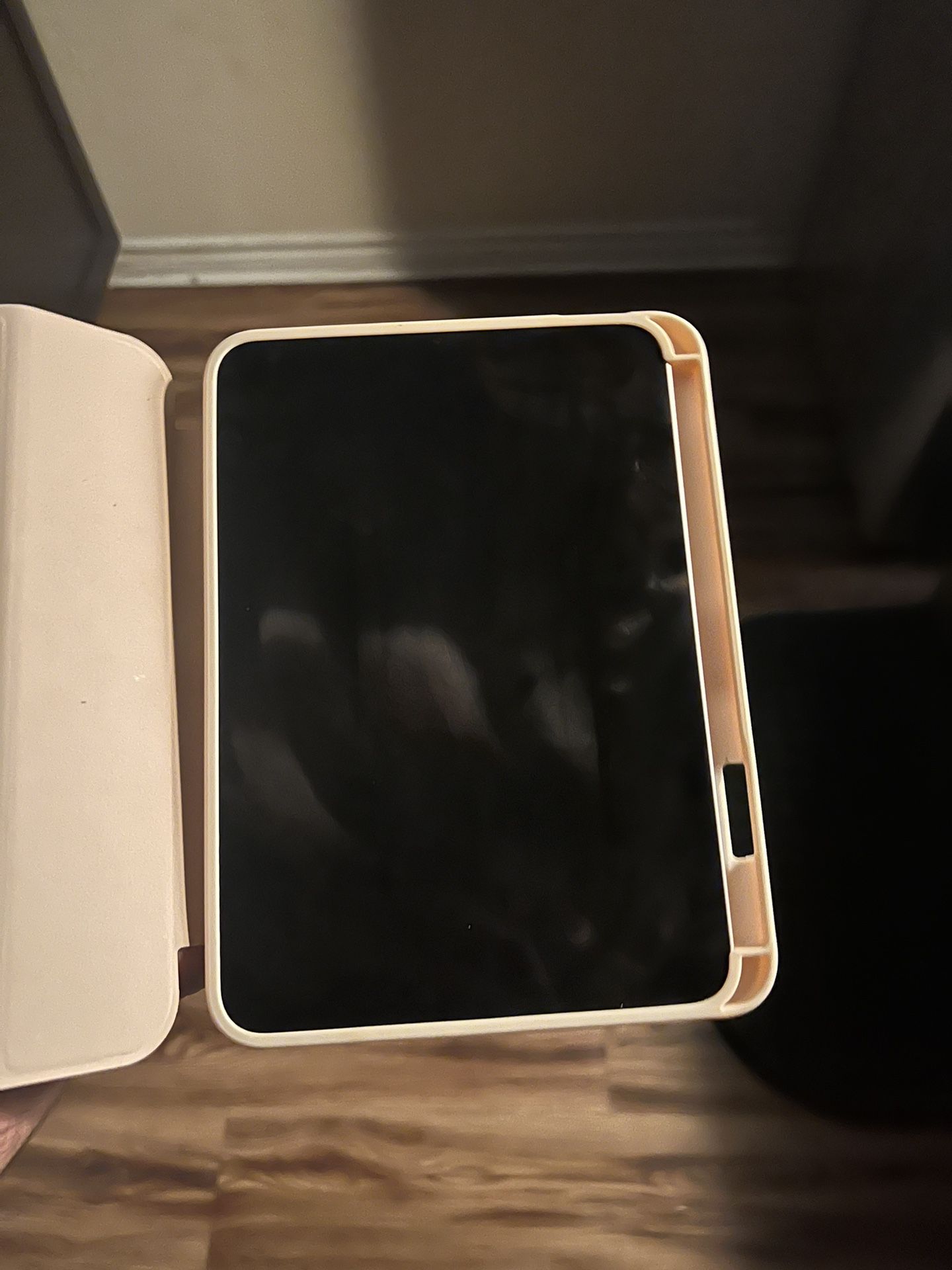 iPad Mini 6th Generation (WiFi + Cellular)