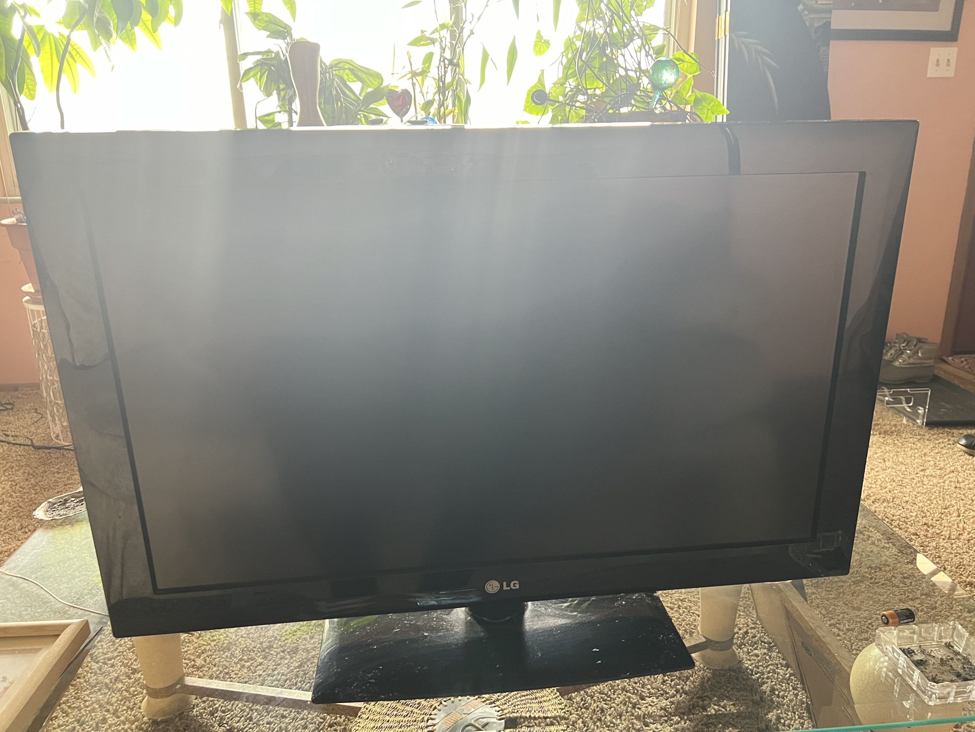 LG 27 Inch TV