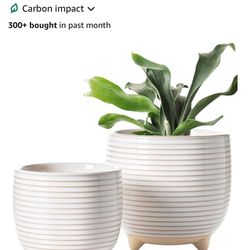 Ceramic Plant Pots 