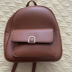 Mini Brown Backpack 