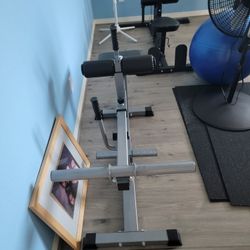 Gym Equipment 