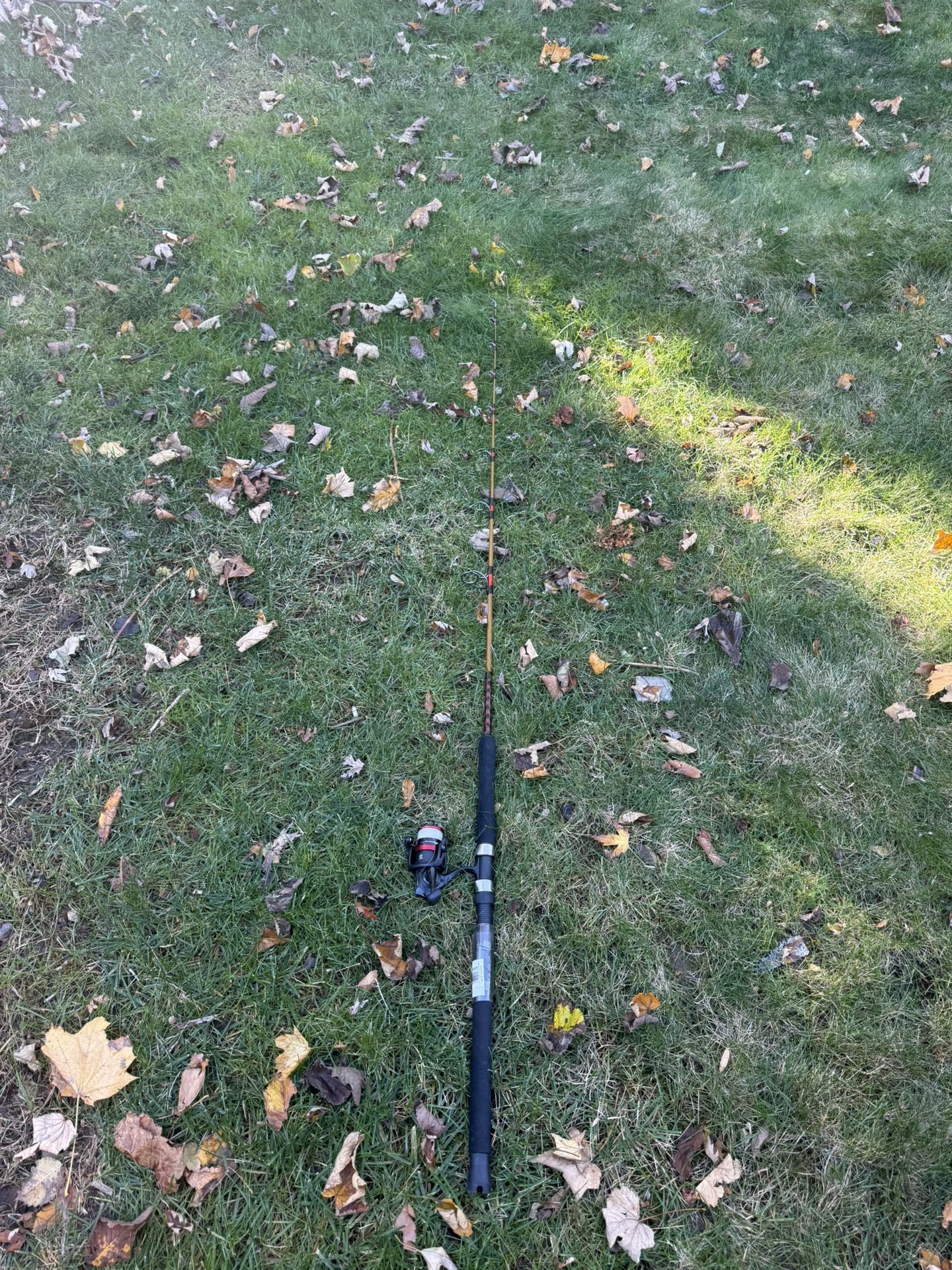 Ugly stick fishing rod 