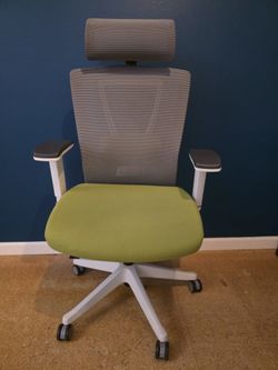 Autonomous AI Ergo Chair with Lumbar Support