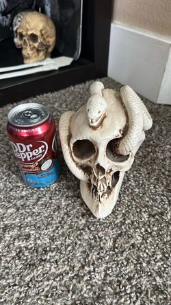 Skull with snake piggy bank