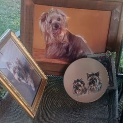 4 Pic $20