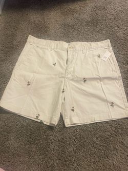 GAP SHORT $10 size 36
