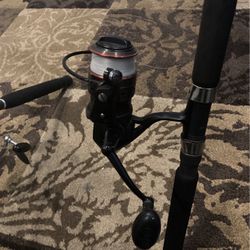 Penn Fierce Spinning Rod And Reel