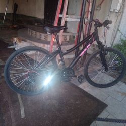 Mongoose 21 Speed Girls Bike
