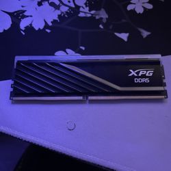 Ram  Ddr5 16gb 