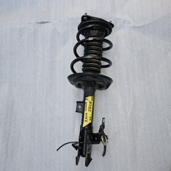 Shok For Toyota Rav-4 Right Side Oem