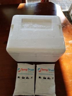 Styrofoam cooler with 2 ice packs