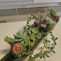 Succulent Decor