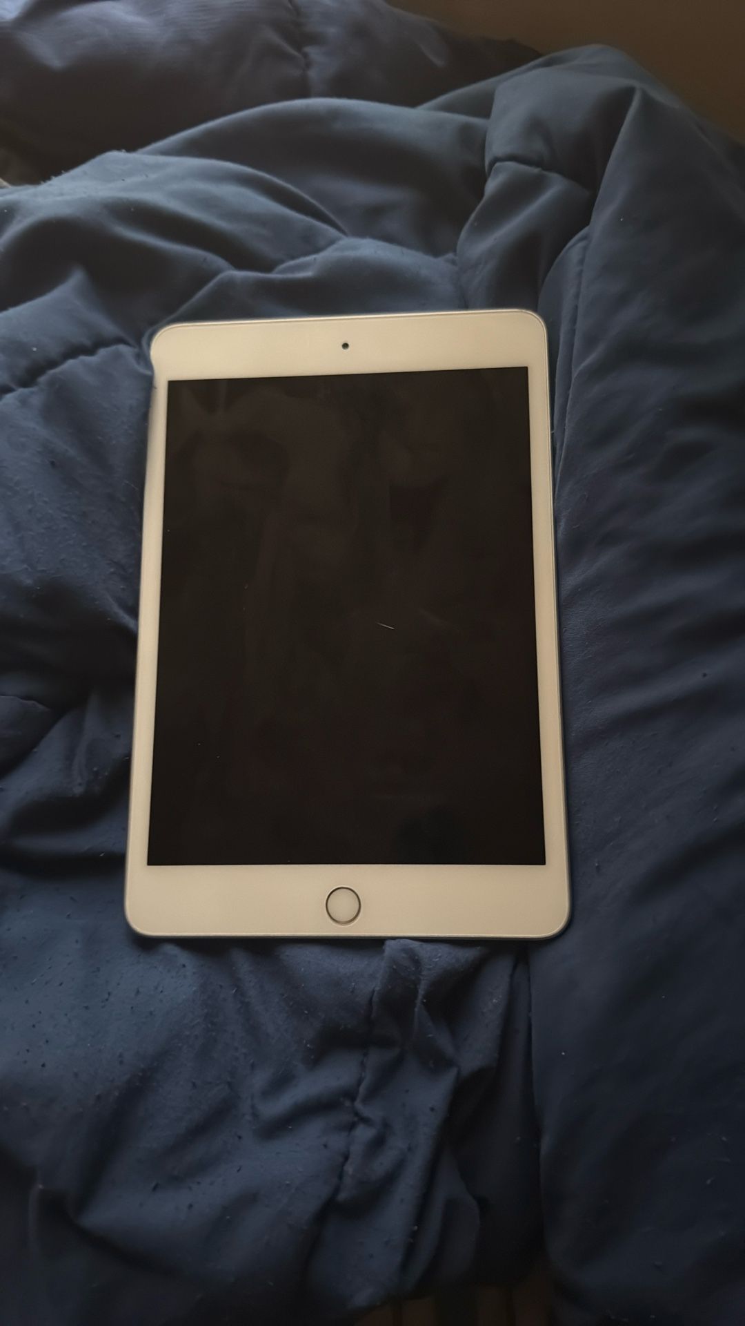 Ipad Mini 5gen 256GB
