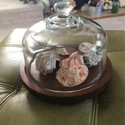 Repurposed Cheese Dome - Decorating Seashells 
